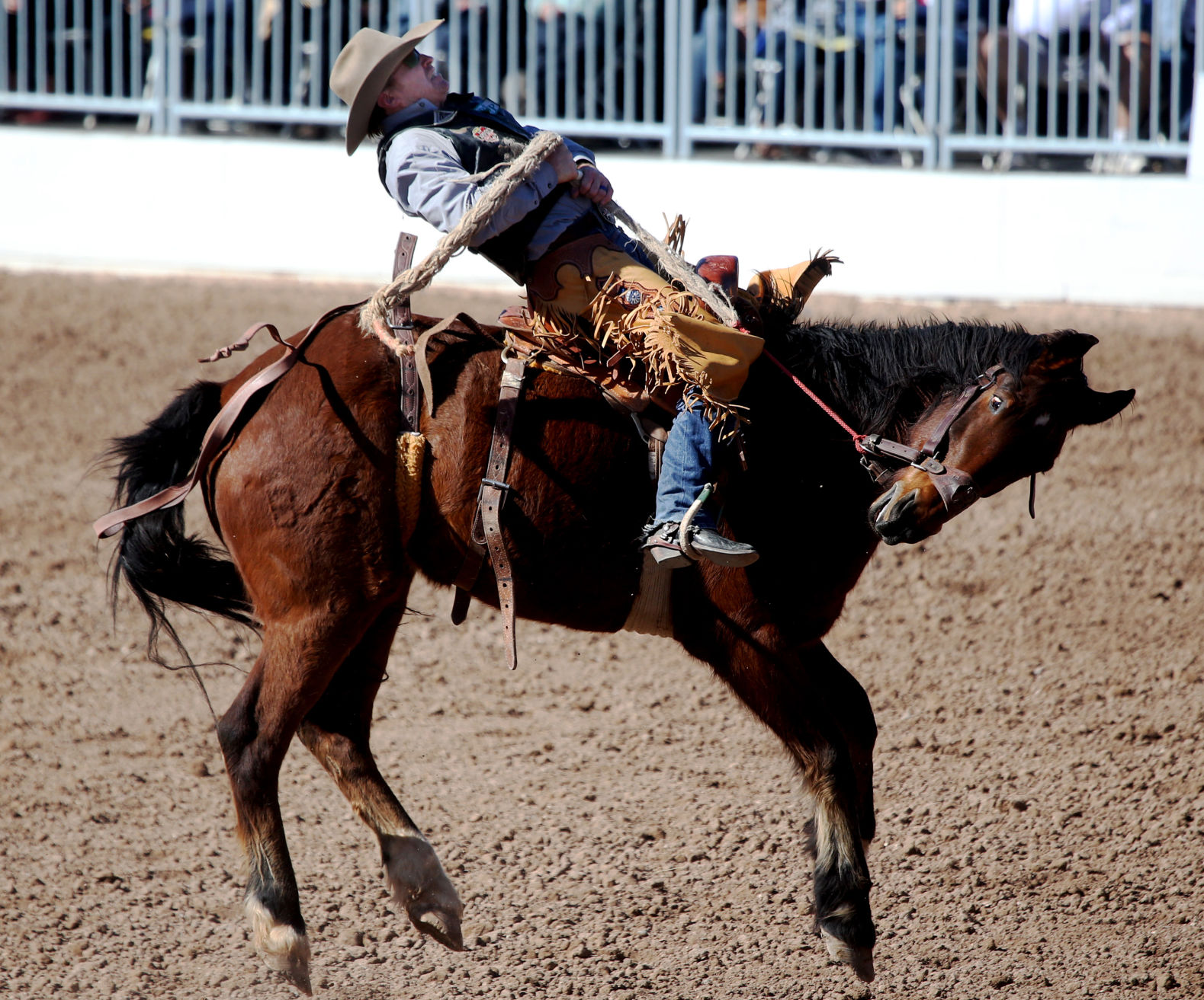 2018 La Fiesta de los Vaqueros Tucson Rodeo